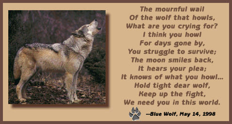 Howling Wolf and Poem